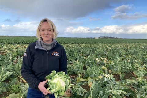 Caterine Caignard, productrice de choux-fleurs à Sibiril