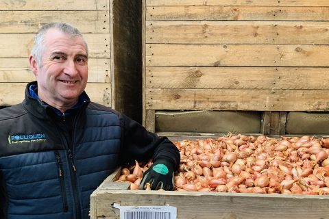 Joël Quillévéré, chargé de qualité échalotes oignons - Pouliquen - Cléder