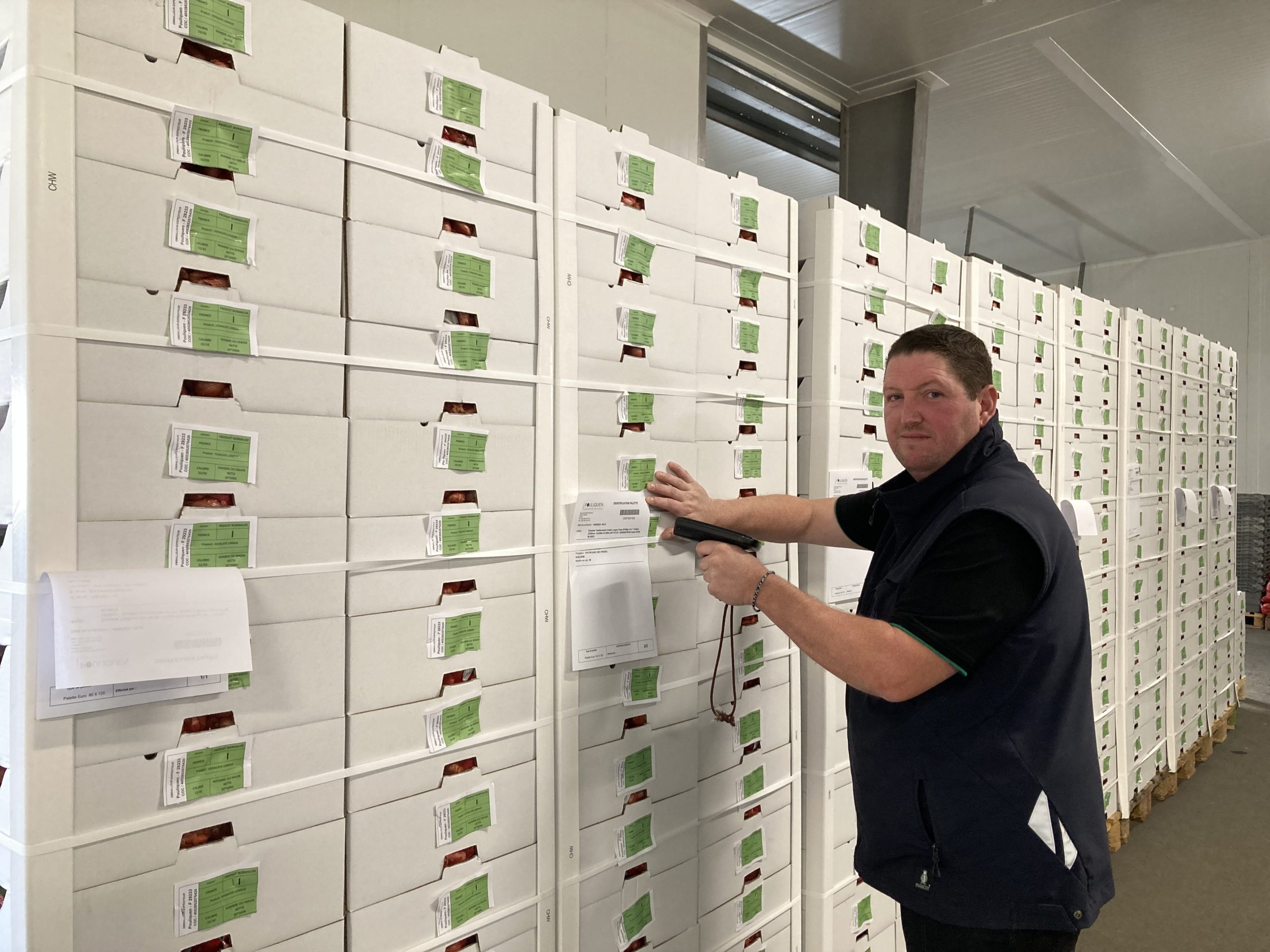 Norbert Monot, preparateur de commandes, dans l'entreprise Pouliquen, échalotes, oignons et légumes frais de Bretagne