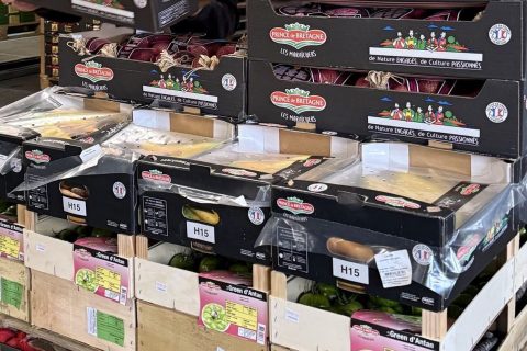 Préparation de palettes mixtes de légumes frais - Preparazione di pallet misti di verdure fresche