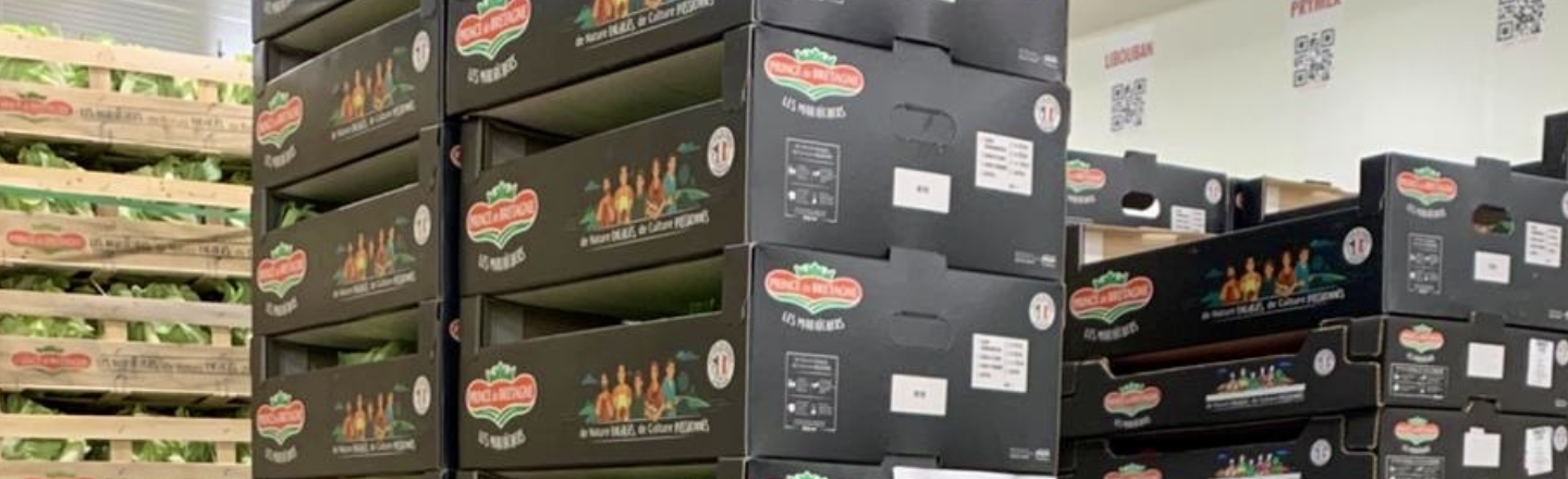 Pouliquen-Mixed-pallets-fresh-vegetables-Palette mixte_légumes