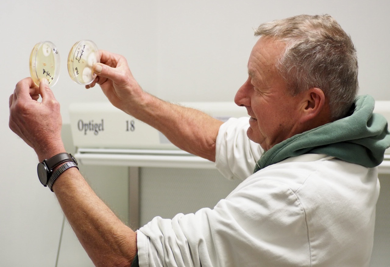 Jean-Luc Tanguy, chercheur en microbiologie et sélection variétale à l'OBS, dans son laboratoire, à Plougoulm, dans le Finistère.