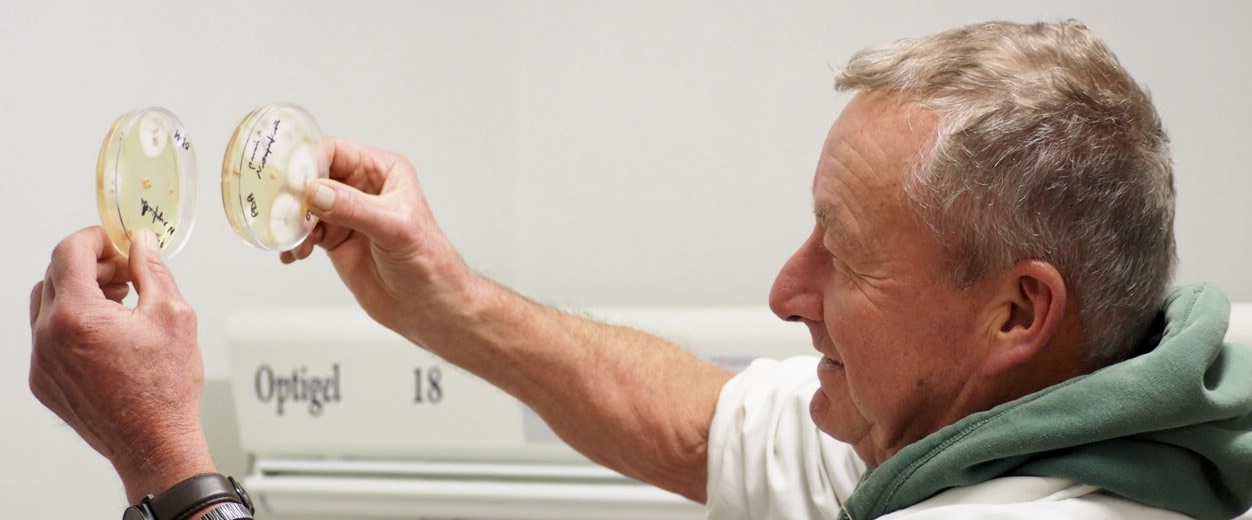 Jean-Luc Tanguy, chercheur microbiologie et sélection variétale, OBS - Pouliquen