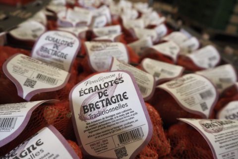 Nouvelle gamme d’échalotes traditionnelles de Bretagne et d’oignons rosés de Bretagne, habillés d’un packaging Pouliquen