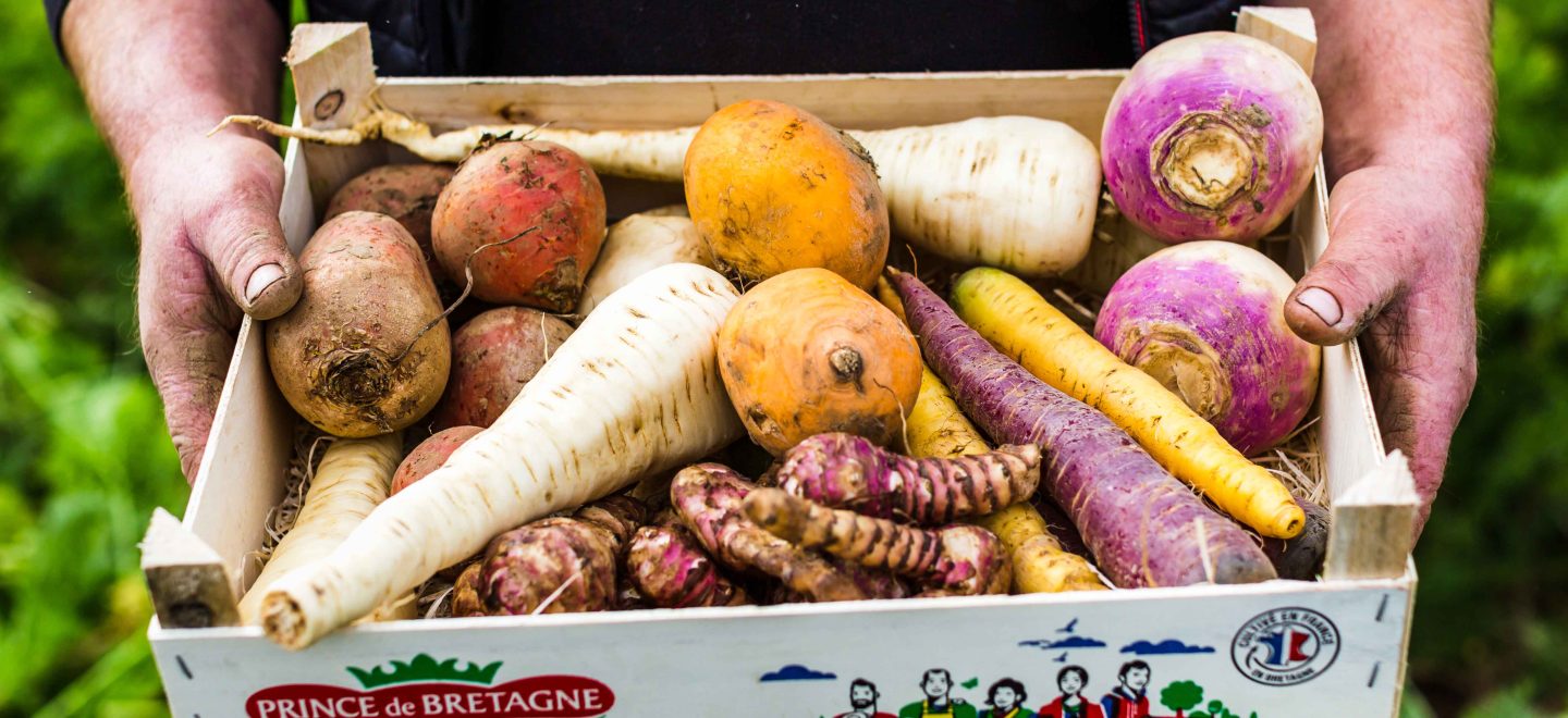 Les légumes anciens et légumes oubliés à cultiver au jardin