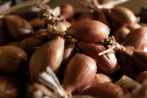 La tresse d'échalotes traditionnelles de Bretagne - Pouliquen, légumes frais de Bretagne - Négoce et export