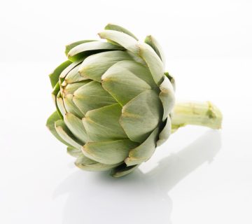 artichaut - artichoke - carciofo - alcachofa - Artischocke