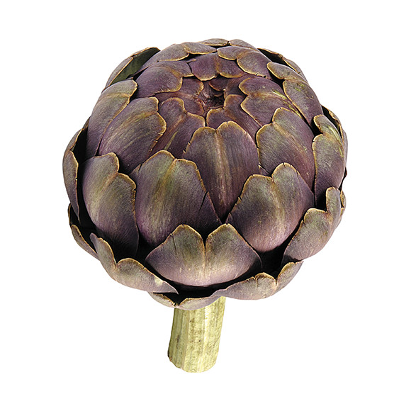 Brittany Pink Onion - Pouliquen - Trading fresh vegetables