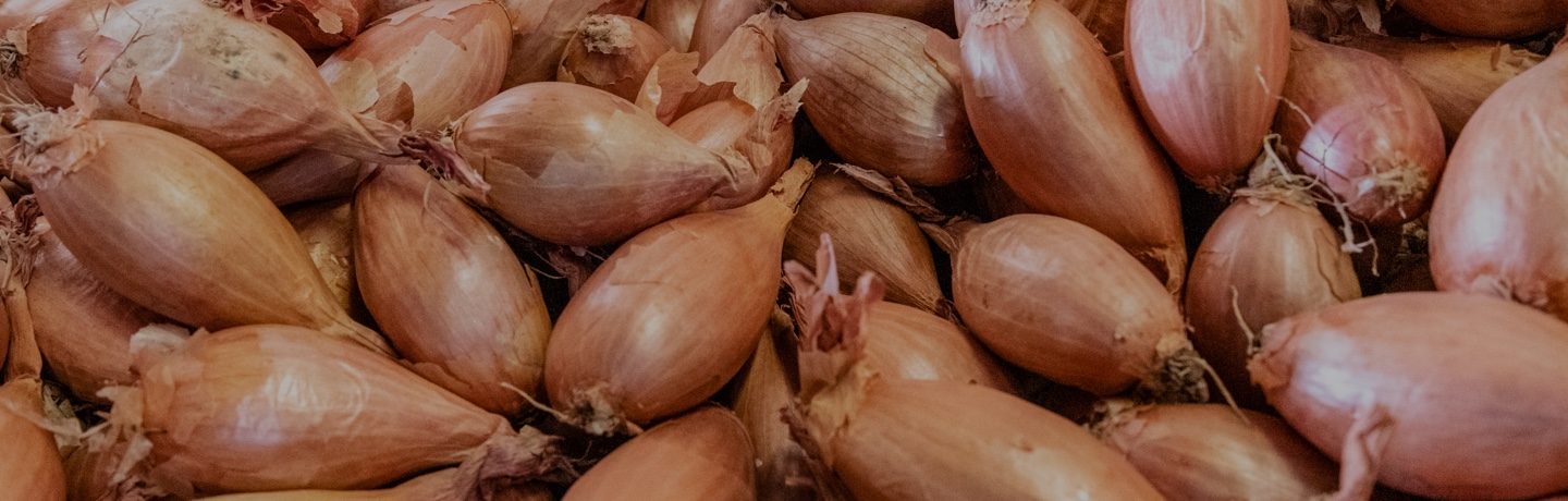 Shallots and echalions, what are the differences?
