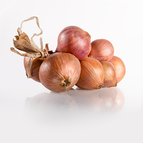 Brittany Pink Onion - Pouliquen - Trading fresh vegetables