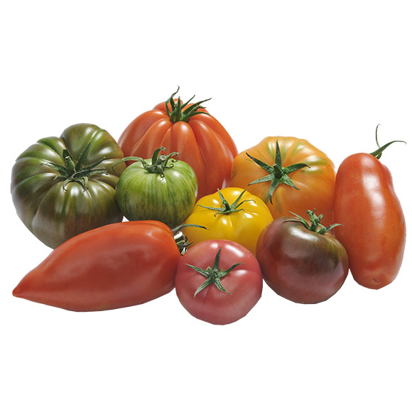 Tomates : 12 variétés incontournables ou insolites - Quitoque