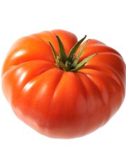 tomate marmande pouliquen