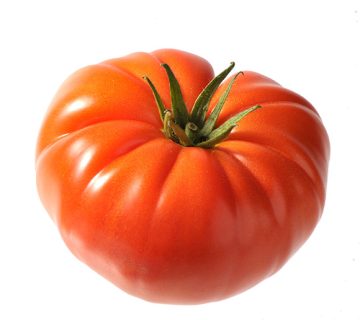 tomate marmande pouliquen