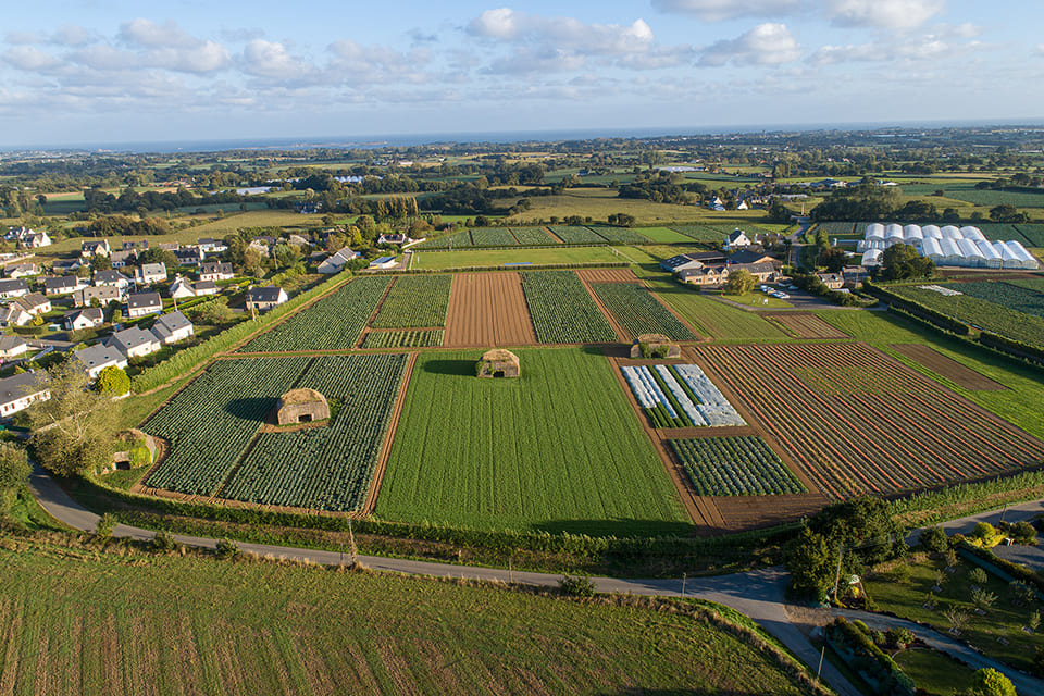Terre d'Essais, station d'expérimentation agricole, Cerafel, prince de Bretagne. Pouliquen, échalotes et légumes frais de Bretagne.