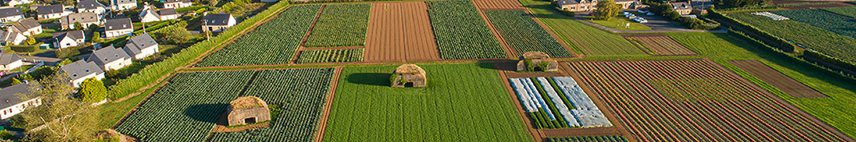 Terre d'Essais, station d'expérimentation agricole, Cerafel, prince de Bretagne. Pouliquen, échalotes et légumes frais de Bretagne.