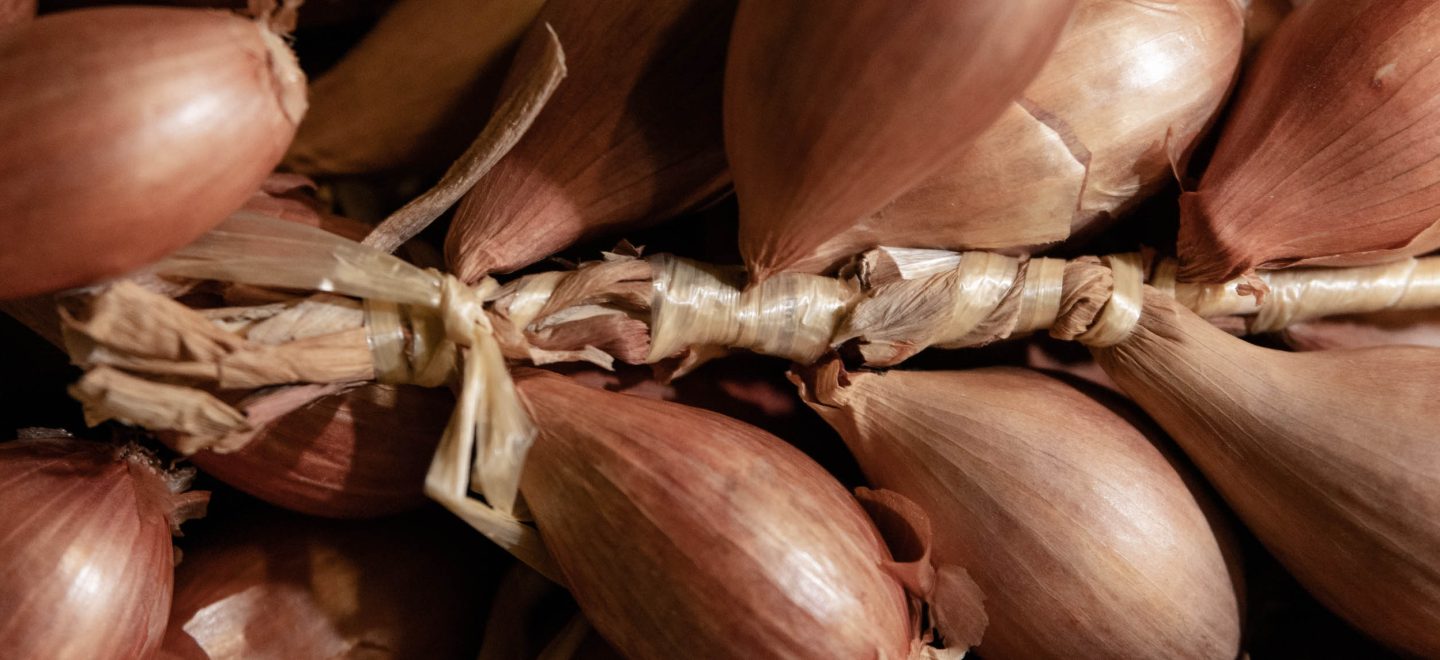 Photo de tresses d'échalotes traditionnelles de Bretagne - Pouliquen, légumes frais de Bretagne - Négoce et export